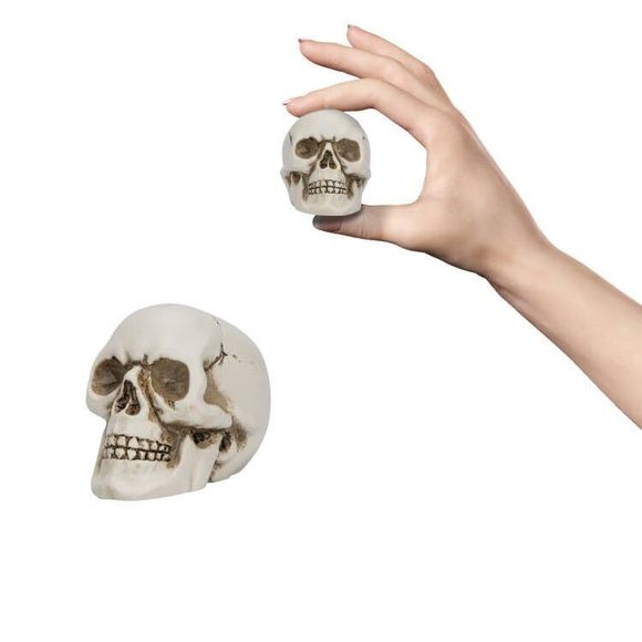 Resin Skull, Mini Skull Model For Home Decoration, Halloween Skull Statue,😽 - Picture 1 of 5